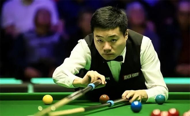 稳定的粉丝 稳定的粉丝